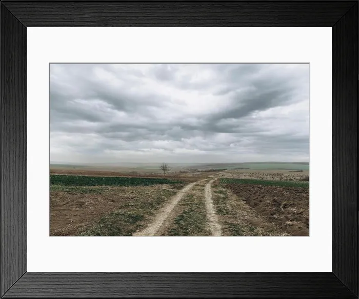 Framed Print : Agricultural field under cloudy sky Framed Print : Agricultural field under cloudy sky