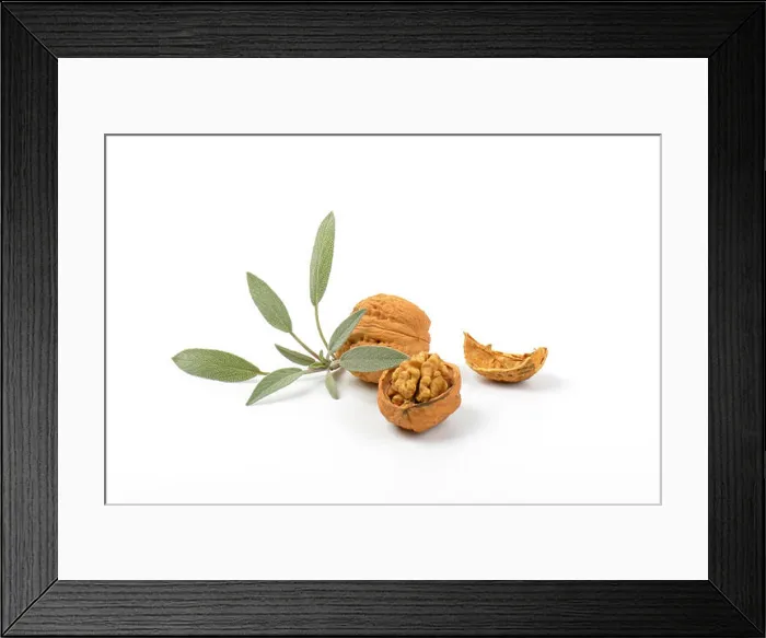 Framed Print : walnuts and fresh sage Framed Print : walnuts and fresh sage