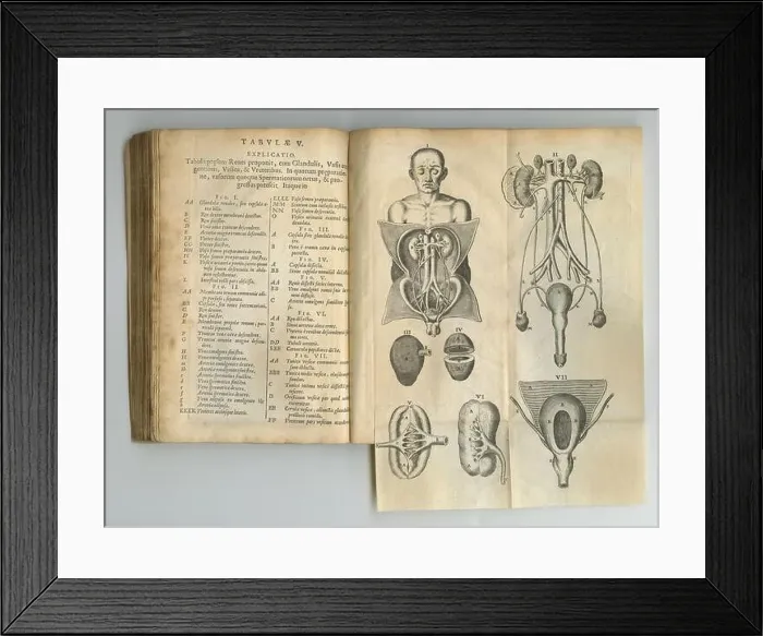 Framed Print : Antique medical journal. An old anatomy book with its pages on display Framed Print : Antique medical journal. An old anatomy book with its pages on display