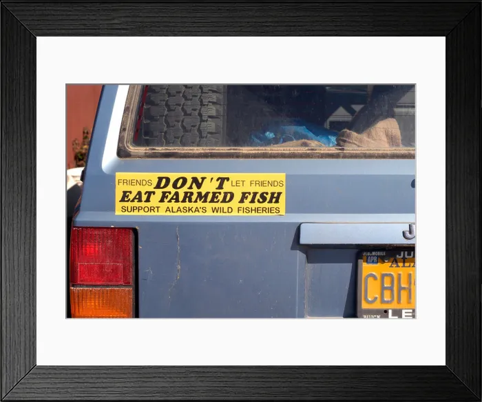 Framed Print : Bumper sticker for Friends Don t Let Friends Eat Farmed Fish Hoonah Alaska United States Framed Print : Bumper sticker for Friends Don t Let Friends Eat Farmed Fish Hoonah Alaska United States