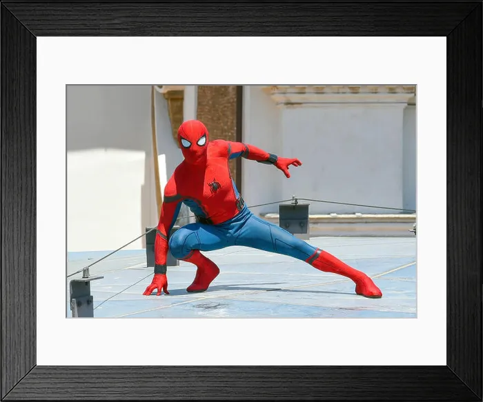 Framed Print : Rome, Italy. 20th June, 2017. Photocall of the movie 'Spiderman-Homecoming' in Rome Framed Print : Rome, Italy. 20th June, 2017. Photocall of the movie 'Spiderman-Homecoming' in Rome