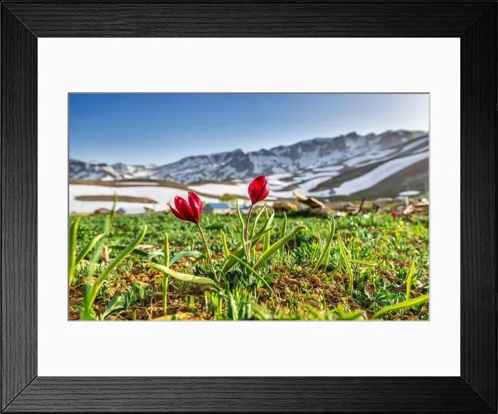 Framed Print : The magnificent nature colors of the land of stone and water Framed Print : The magnificent nature colors of the land of stone and water