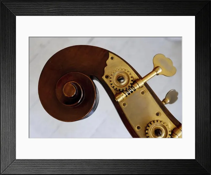 Framed Print : Peg box with tuning pegs of an old double bass Framed Print : Peg box with tuning pegs of an old double bass