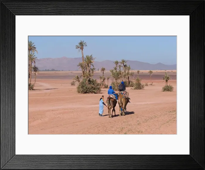 Framed Print : A local Berber guide taking tourists for a camel safari in the deserts and palm groves near Marrakech Framed Print : A local Berber guide taking tourists for a camel safari in the deserts and palm groves near Marrakech