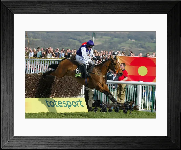 Framed Print : KICKING KING TOTESPORT CHELTENHAM GOLD CUP CHELTENHAM RACECOURSE CHELTENHAM 18 March 2005 Framed Print : KICKING KING TOTESPORT CHELTENHAM GOLD CUP CHELTENHAM RACECOURSE CHELTENHAM 18 March 2005