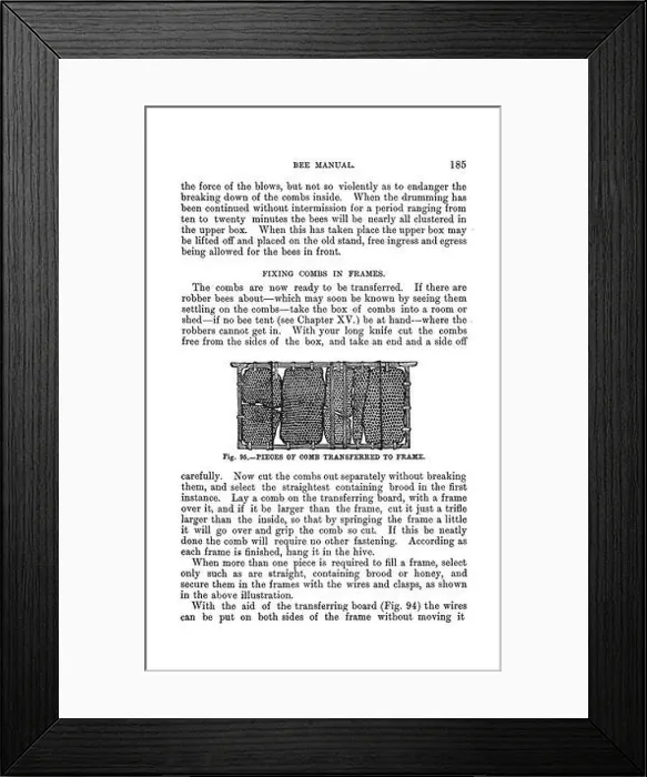 Framed Print : This manual provides a comprehensive guide to bee culture in the southern hemisphere Framed Print : This manual provides a comprehensive guide to bee culture in the southern hemisphere