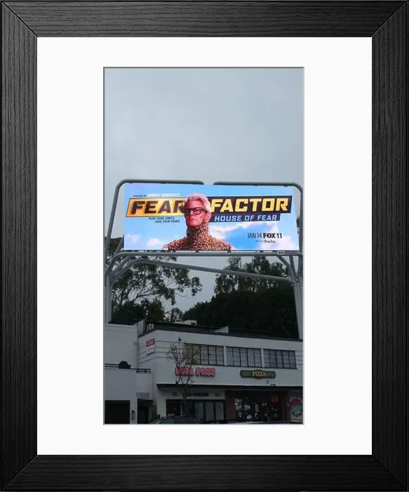 Framed Print : Los Angeles, California Framed Print : Los Angeles, California