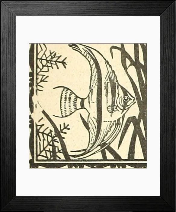Framed Print : Blätter für Aquarien- und Terrarien-Kunde Framed Print : Blätter für Aquarien- und Terrarien-Kunde