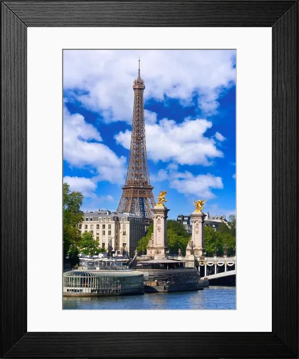 Framed Print : Pont Alexandre III, Sena River, Eiffel tower, Paris, France Framed Print : Pont Alexandre III, Sena River, Eiffel tower, Paris, France