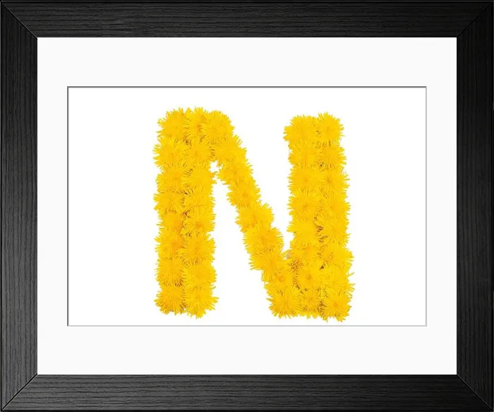 Framed Print : The English alphabet of dandelion flowers. Letter N Framed Print : The English alphabet of dandelion flowers. Letter N