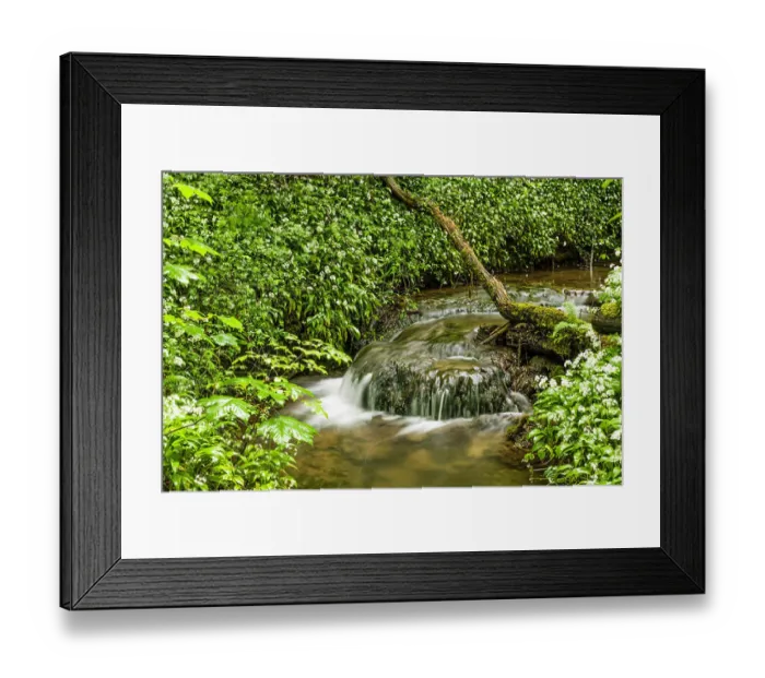Framed Print : Narrow stream and little waterfall running through the Fforest Ganol forest area near Tongwynlais, Cardiff