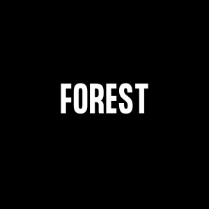 Collections: Forest