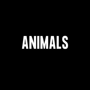 Collections: Animals