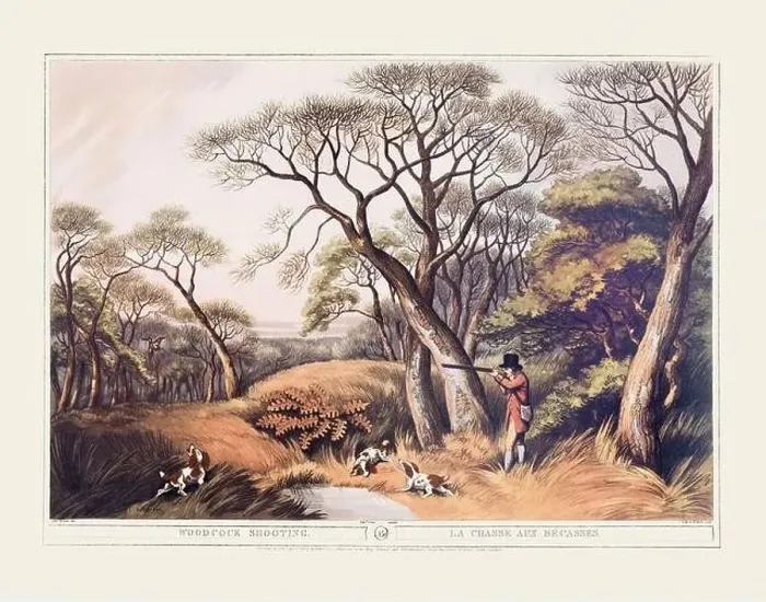 Framed Print : 19th-century hunting illustration Framed Print : 19th-century hunting illustration