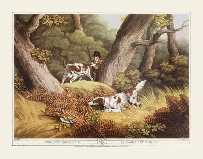 Framed Print : 19th-century hunting illustration Framed Print : 19th-century hunting illustration