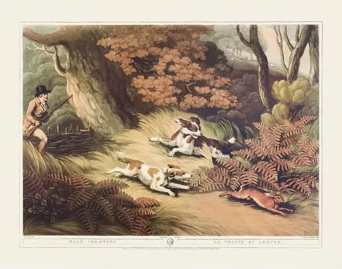 Framed Print : 19th-century hunting illustration Framed Print : 19th-century hunting illustration