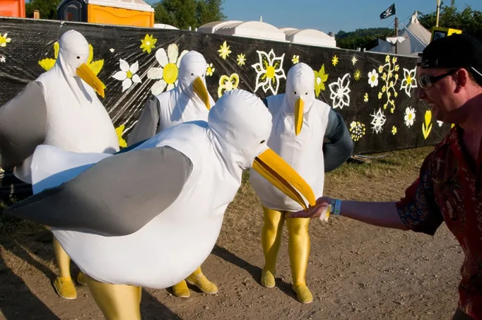 Framed Print : 2010 Glastonbury Festival of Contemporary Performing Arts festival flock seagull seagulls beak feed bird avian Framed Print : 2010 Glastonbury Festival of Contemporary Performing Arts festival flock seagull seagulls beak feed bird avian