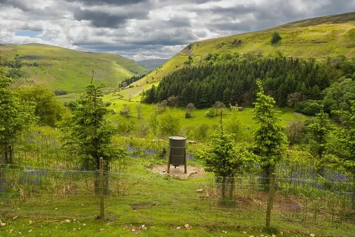 Framed Print : 27.05.2022 Muker, Swaledale, North Yorkshire, Uk. Conservation work and tree planting above muker in the Yorkshire Dales Framed Print : 27.05.2022 Muker, Swaledale, North Yorkshire, Uk. Conservation work and tree planting above muker in the Yorkshire Dales