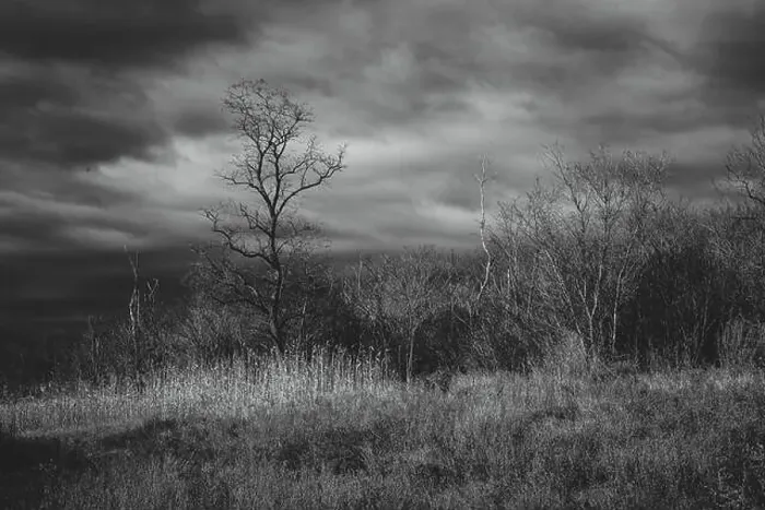 Framed Print : 2s2feba Framed Print : 2s2feba