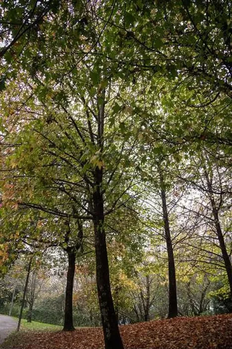 Framed Print : 2yt6x66 Framed Print : 2yt6x66