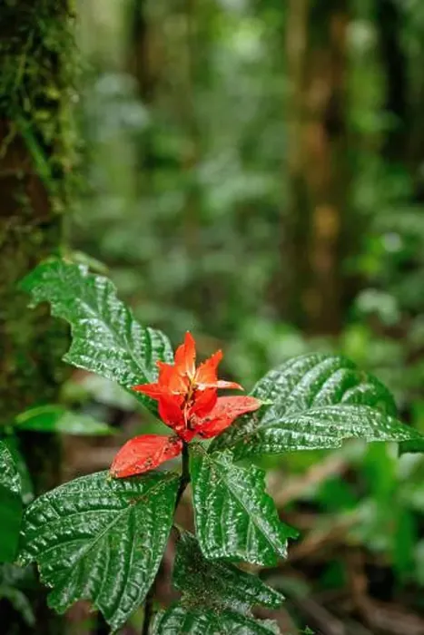 Framed Print : 2yy9rm2 Framed Print : 2yy9rm2