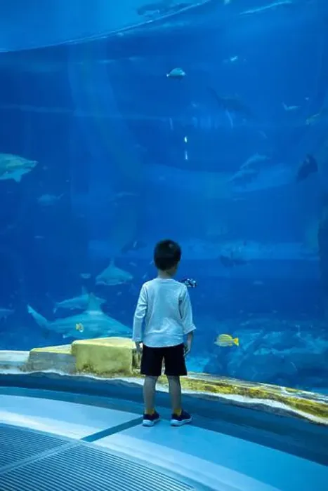 Framed Print : A 3 year old boy stands in awe Framed Print : A 3 year old boy stands in awe