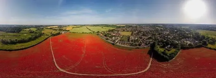 Framed Print : A 360 degree aerial view of poppies in bloom in a field near Ipswich, UK Framed Print : A 360 degree aerial view of poppies in bloom in a field near Ipswich, UK