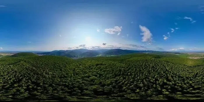 Framed Print : 360° Panoramic Aerial View of Florival Valley: From Lautenbach's Forest Treetops to Buhl's Sun-Kissed Hills Framed Print : 360° Panoramic Aerial View of Florival Valley: From Lautenbach's Forest Treetops to Buhl's Sun-Kissed Hills