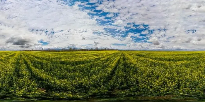 Framed Print : 360x180 spherical aerial panorama of a rapeseed field Framed Print : 360x180 spherical aerial panorama of a rapeseed field