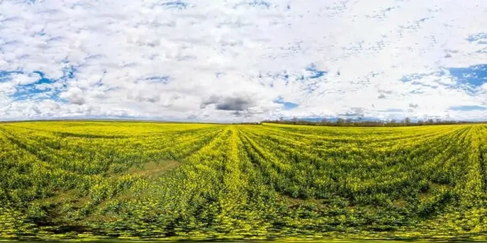 Framed Print : 360x180 spherical aerial panorama of a rapeseed field Framed Print : 360x180 spherical aerial panorama of a rapeseed field