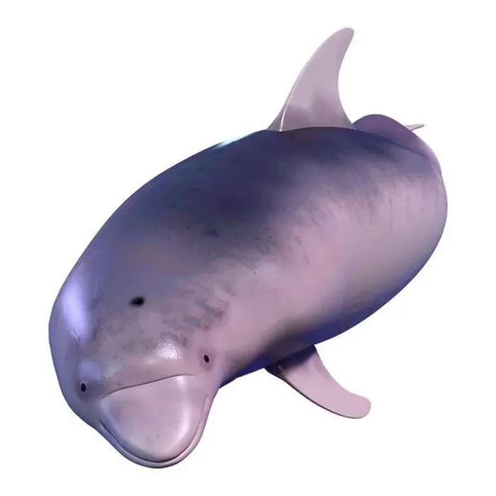 Framed Print : 3D rendering of a dolphin isolated on white background Framed Print : 3D rendering of a dolphin isolated on white background