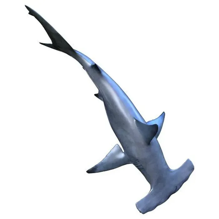 Framed Print : 3D rendering of a hammerhead shark isolated on white background Framed Print : 3D rendering of a hammerhead shark isolated on white background