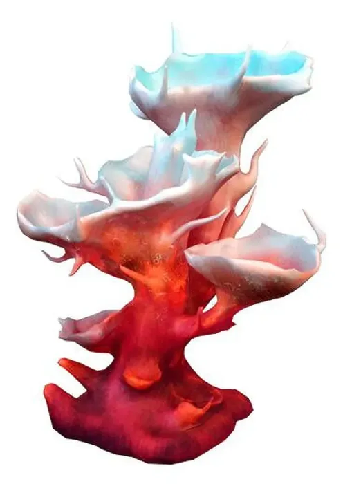 Framed Print : 3D rendering of a red clathrata coral isolated on white background Framed Print : 3D rendering of a red clathrata coral isolated on white background