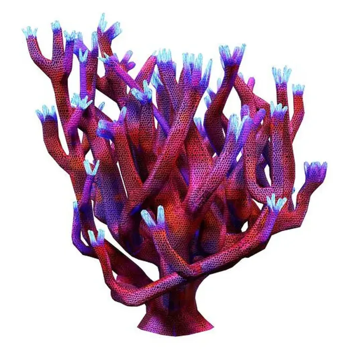 Framed Print : 3D rendering of a staghorn coral isolated on white background Framed Print : 3D rendering of a staghorn coral isolated on white background