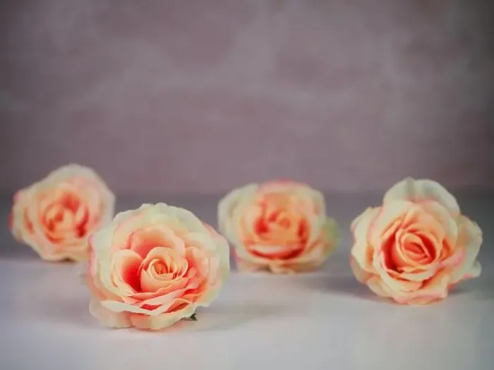 Framed Print : 4 peach rose flower blooms sitting on a shiny white surface with a rose marble background