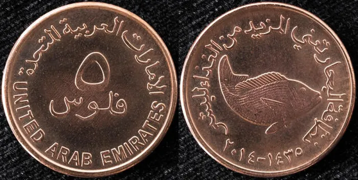 Framed Print : 5 fils coin, United Arab Emirates, 2014 Framed Print : 5 fils coin, United Arab Emirates, 2014