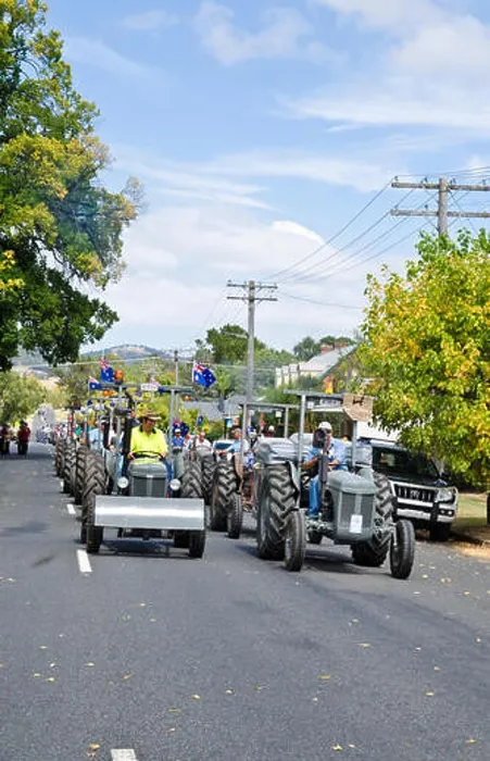 Framed Print : 5th Triennial Bendemeer Australian Grey Fergie Muster Grand Parade March 2015 Framed Print : 5th Triennial Bendemeer Australian Grey Fergie Muster Grand Parade March 2015