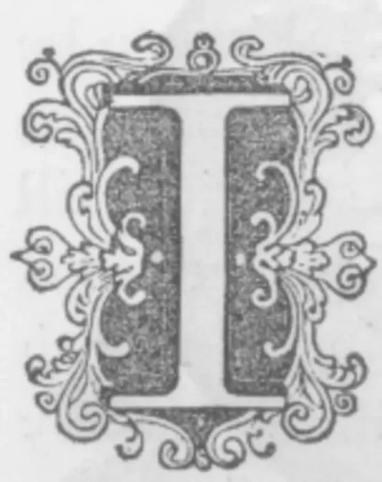 Framed Print : 639 Fancy Letter I Image (2) Framed Print : 639 Fancy Letter I Image (2)