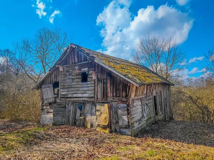 Framed Print : Abandoned 19th century wooden house with a mossy roof in a rural field in Lithuania, Europe