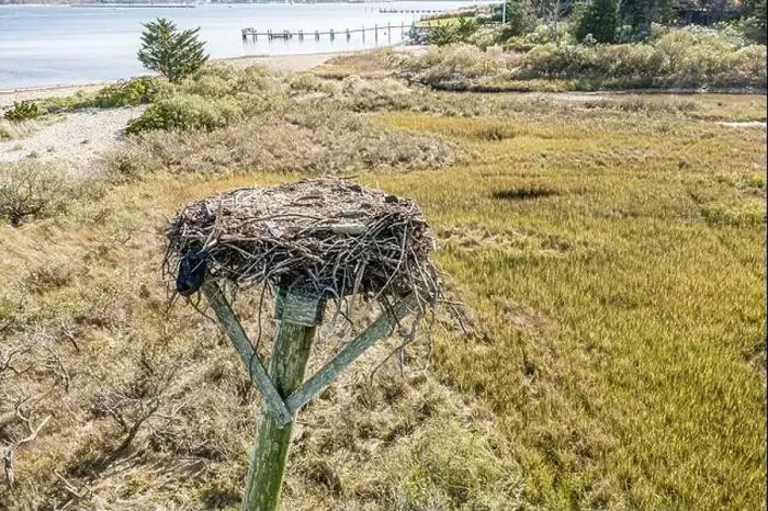 Framed Print : An abandoned Osprey nest on a platform with water and a dock beyond Framed Print : An abandoned Osprey nest on a platform with water and a dock beyond