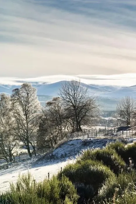 Framed Print : Abernethy View to Cairngorms in Scotland Framed Print : Abernethy View to Cairngorms in Scotland