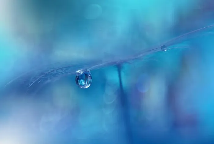 Framed Print : Abstract macro photo with water drops. Dandelion seed.Artistic Background for desktop.Blue Wallpaper.Floral fantasy design.Art photography Framed Print : Abstract macro photo with water drops. Dandelion seed.Artistic Background for desktop.Blue Wallpaper.Floral fantasy design.Art photography