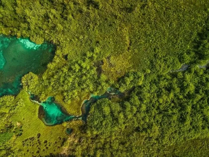 Framed Print : Abstract Nature Pattern in Wetland and Grassland in Slovenia Drone View Framed Print : Abstract Nature Pattern in Wetland and Grassland in Slovenia Drone View