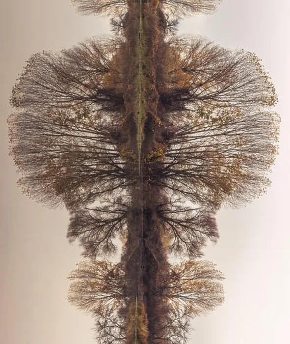 Framed Print : Abstract, rotated, reflection of riverbank trees on the calm river water Framed Print : Abstract, rotated, reflection of riverbank trees on the calm river water