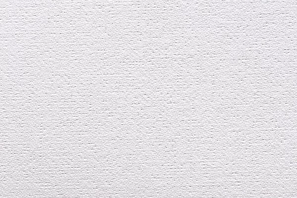 Acrylic canvas texture in elegant white color for your design look