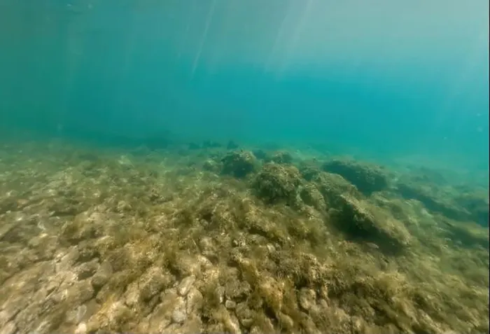 Framed Print : Actioncam underwater seascape capture during snorkeling at croatia, adriatic sea Framed Print : Actioncam underwater seascape capture during snorkeling at croatia, adriatic sea