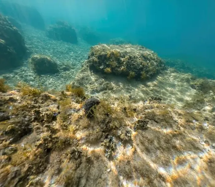 Framed Print : Actioncam underwater seascape capture during snorkeling at croatia, adriatic sea Framed Print : Actioncam underwater seascape capture during snorkeling at croatia, adriatic sea