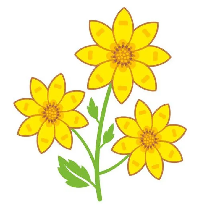Framed Print : Adey abeba Ethiopian flower, symbol of Enkutatash (Ethiopian New Year) Framed Print : Adey abeba Ethiopian flower, symbol of Enkutatash (Ethiopian New Year)