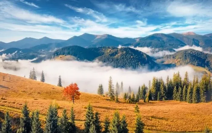 Framed Print : Adorable morning view from flying drone of Carpathian mountains Framed Print : Adorable morning view from flying drone of Carpathian mountains