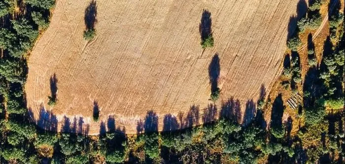 Framed Print : Aerial aerial view of arable fields and surrounding trees. Background Framed Print : Aerial aerial view of arable fields and surrounding trees. Background